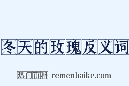 冬天的玫瑰反义词是什么意思的图片